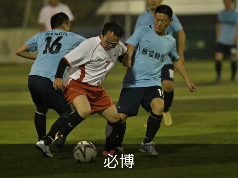 必博介绍